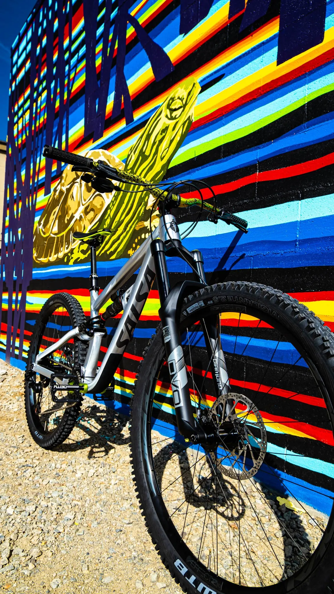 Custom Salsa Blackthorn Build, Small CLEARANCE