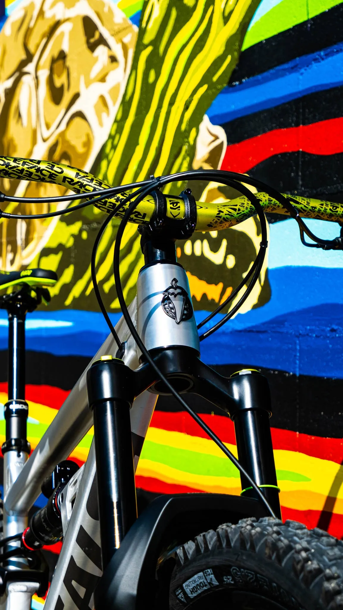 Custom Salsa Blackthorn Build, Small CLEARANCE