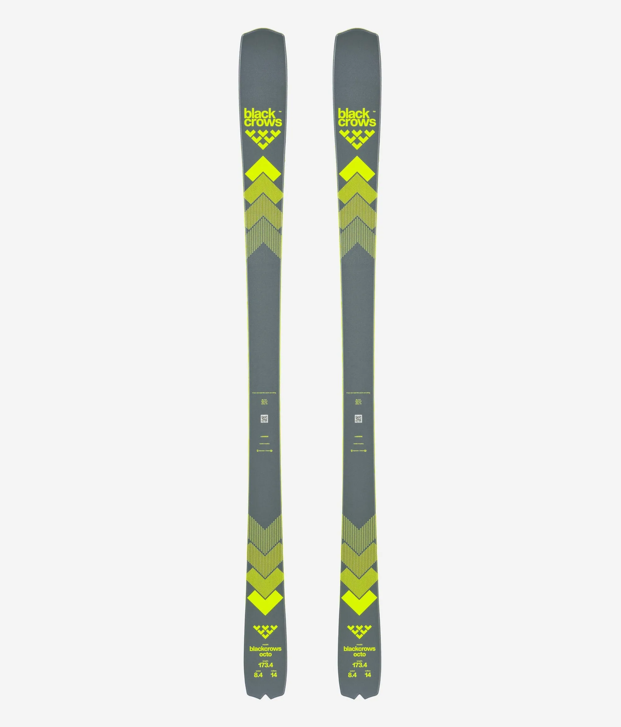 Octo Skis 2025