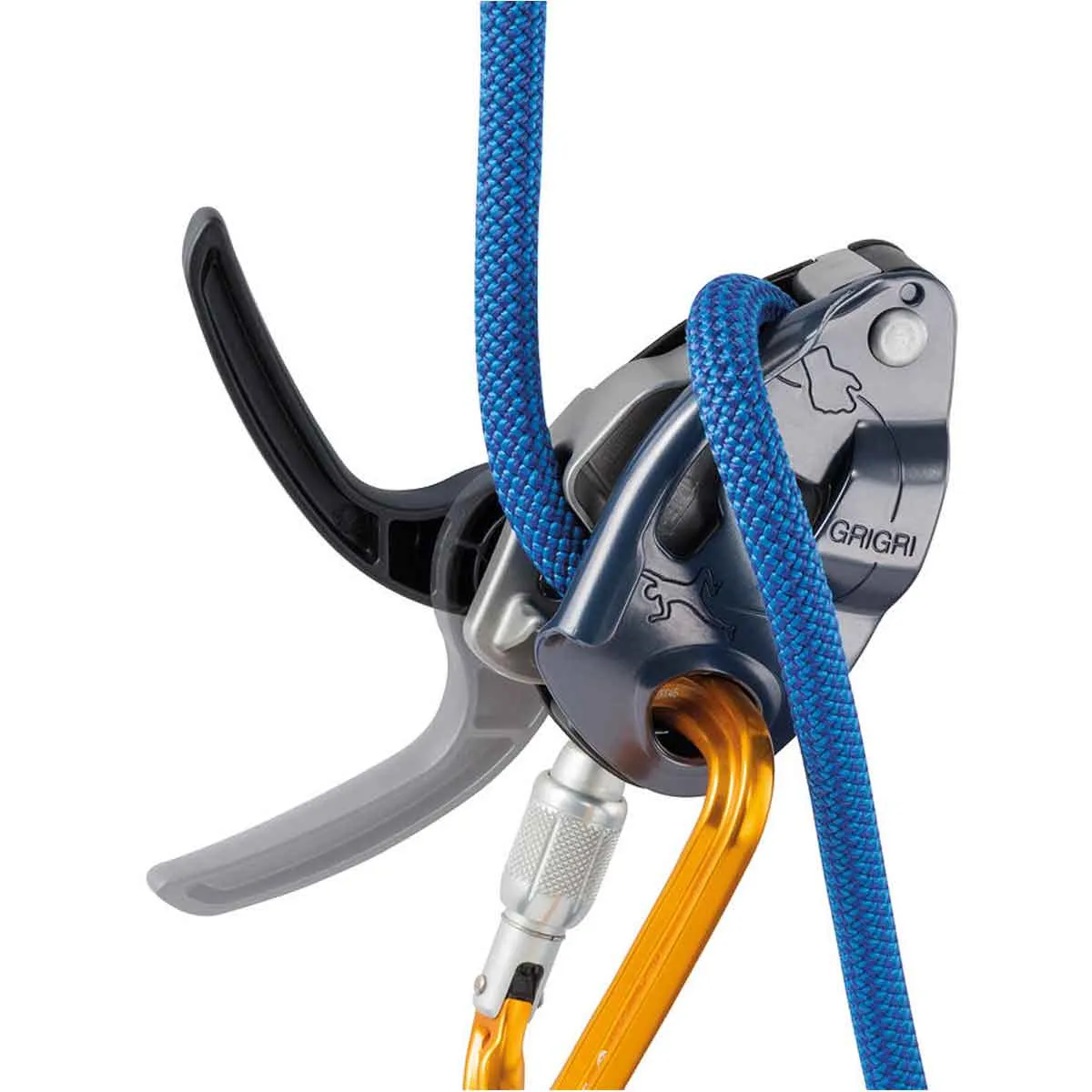 Premium Sport Lead Climbing Package