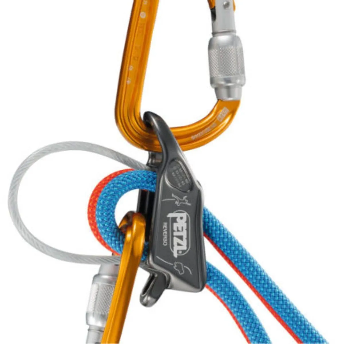 Reverso Belay Device/Descender - Red/Orange